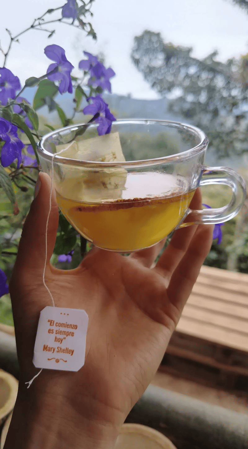 Aromatica naranja con piña