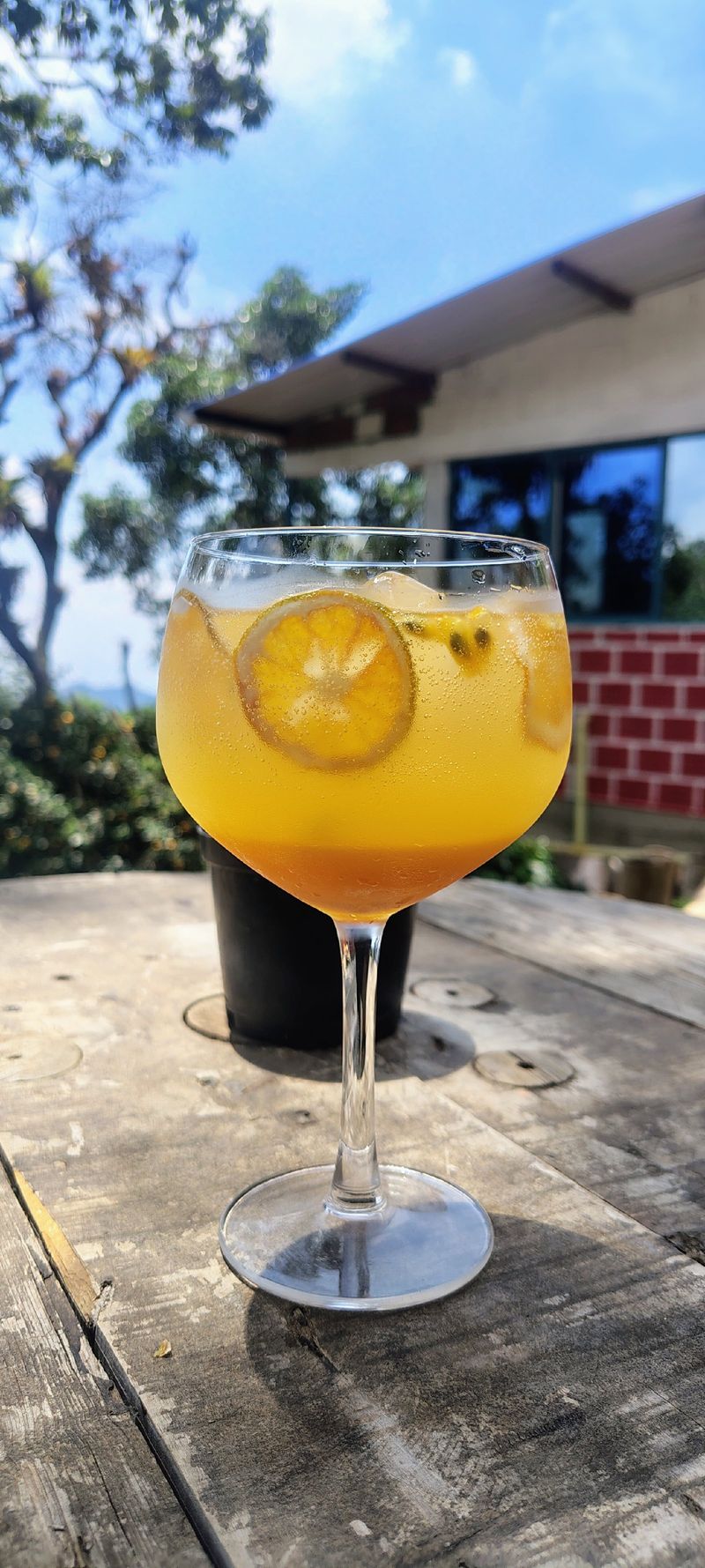 Soda italiana de Lulo