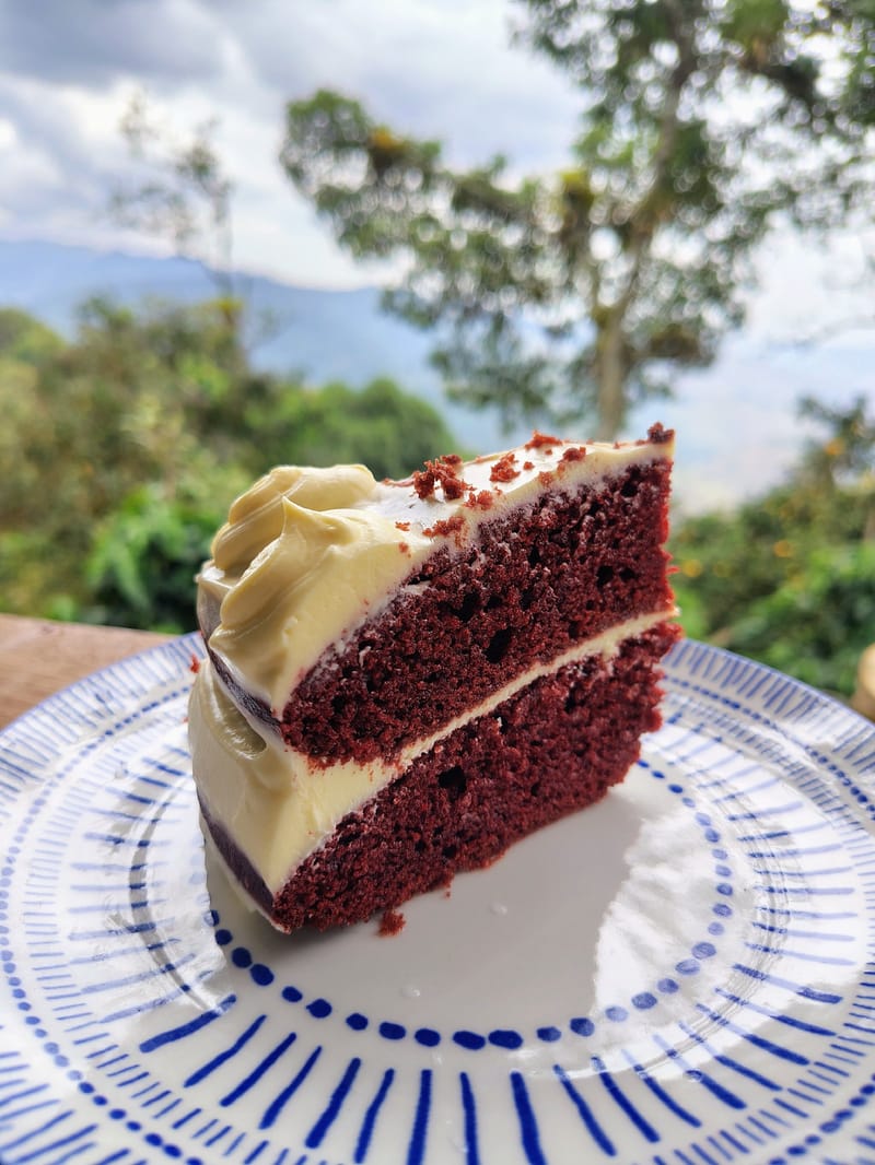 Torta red velvet