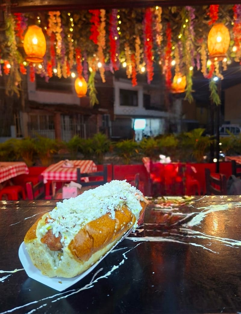 dog choriperro solo